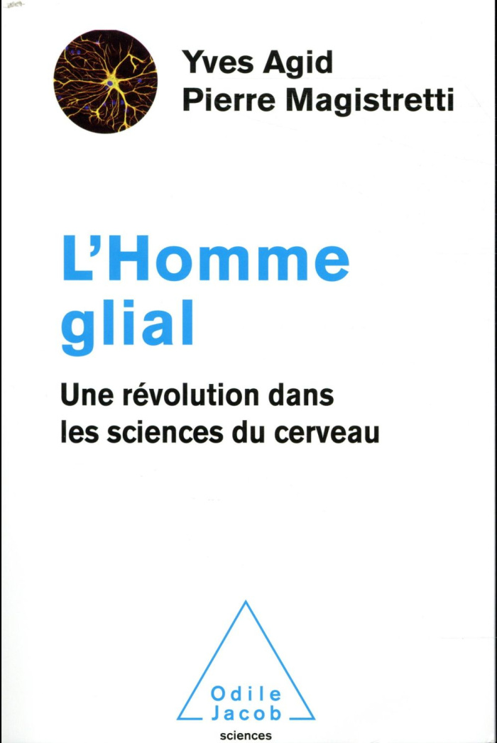 L'Homme glial. Une révolution dans les sciences du cerveau