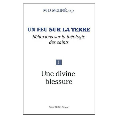 Un feu sur la terre. Tome 1, Une divine blessure