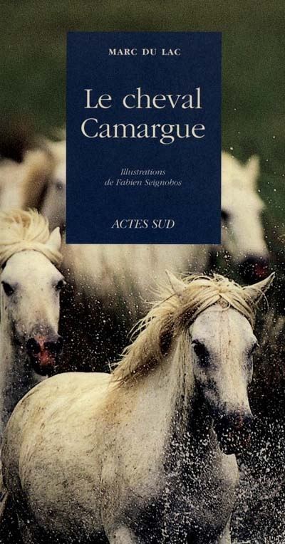Le cheval camargue