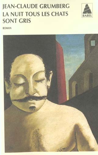 La nuit tous les chats sont gris