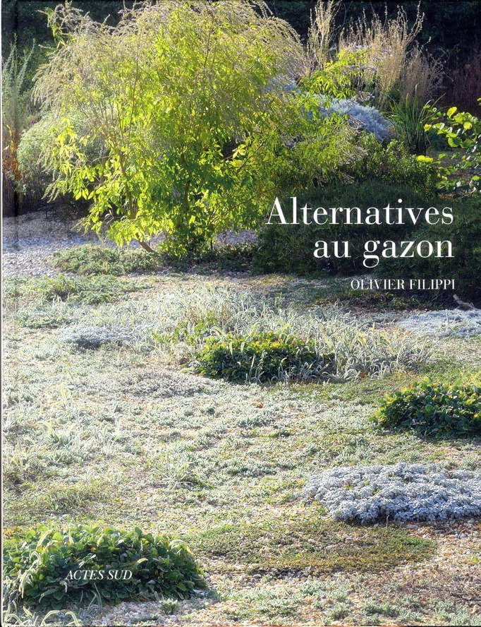 Alternatives au gazon