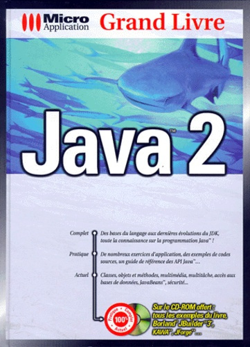 JAVA 2 GRAND LIVRE