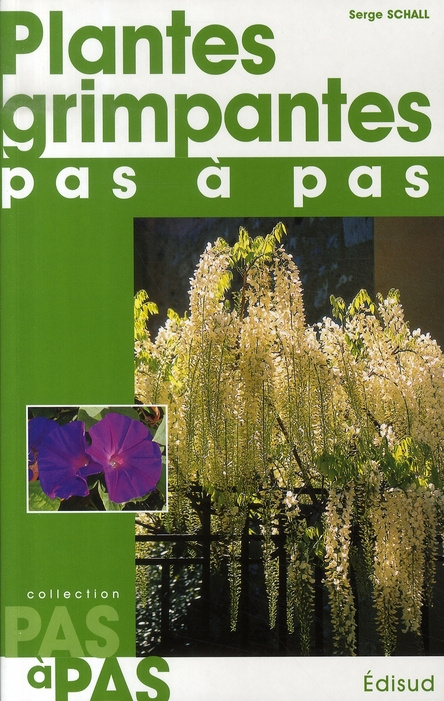 PLANTES GRIMPANTES