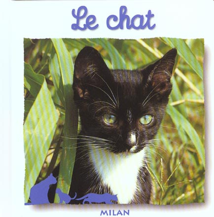 Le chat