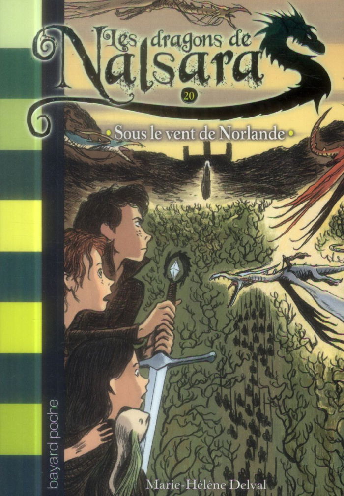 Les dragons de Nalsara Tome 20 : Sous le vent de Norlande