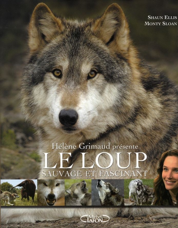 Le Loup. Sauvage et Fascinant
