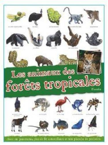Les animaux des forêts tropicales. Avec un panorama, plus de 80 autocollants et une planche de pocho