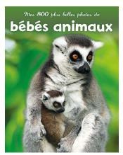 Mes 800 plus belles photos de bébés animaux