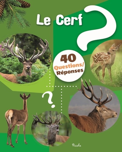 Le cerf