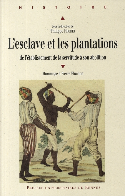 L'esclave et les plantations. De l'établissement de la servitude à son abolition