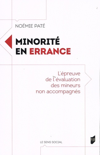 Minorité en errance. L'épreuve de l'évaluation des mineurs non accompagnés