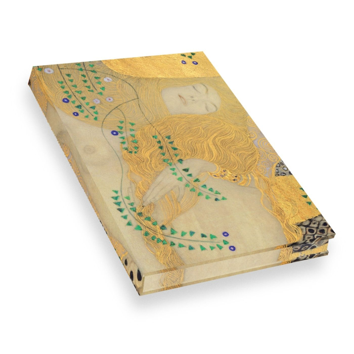 Carnet Klimt - L'Hydre
