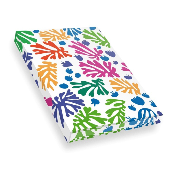 Carnet Matisse - La perruche et la sirène