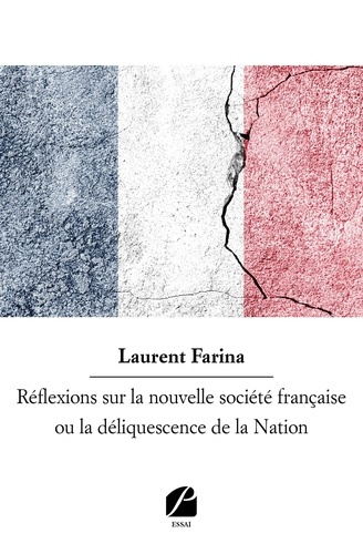 Réflexions sur la nouvelle société française ou la déliquescence de la Nation