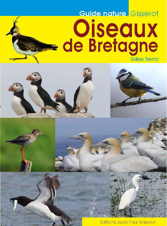 Oiseaux de Bretagne