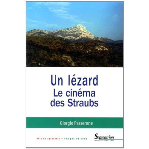 Un lézard. Le cinéma des Straubs