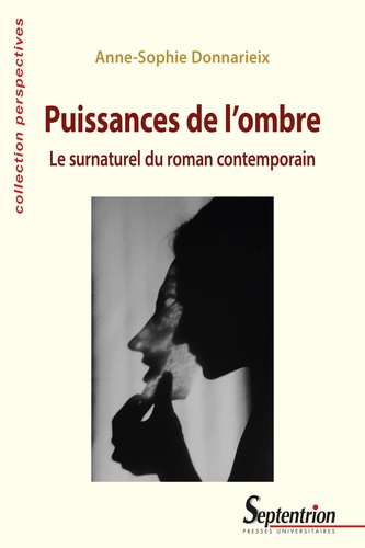 Puissances de l'ombre. Le surnaturel du roman contemporain