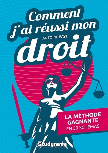 Comment j'ai réussi mon droit. La méthode gagnante en 50 schémas
