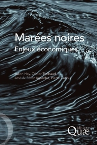 MAREES NOIRES. ENJEUX ECONOMIQUES