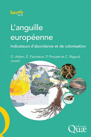 L'ANGUILLE EUROPEENNE. INDICATEURS D'ABONDANCE ET DE COLONISATION