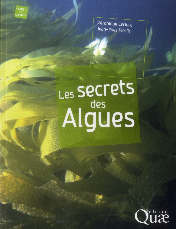 LES SECRETS DES ALGUES