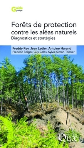 FORETS DE PROTECTION CONTRE LES ALEAS NATURELS - DIAGNOSTICSET STRATEGIES