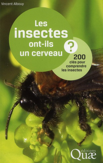 LES INSECTES ONT-ILS UN CERVEAU. 200 CLES POUR COMPRENDRE LES INSECTES