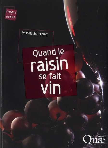Quand le raisin se fait vin