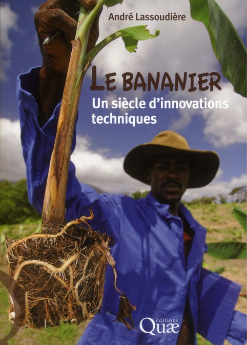 LE BANANIER : UN SIECLE D'INNOVATIONS TECHNIQUES