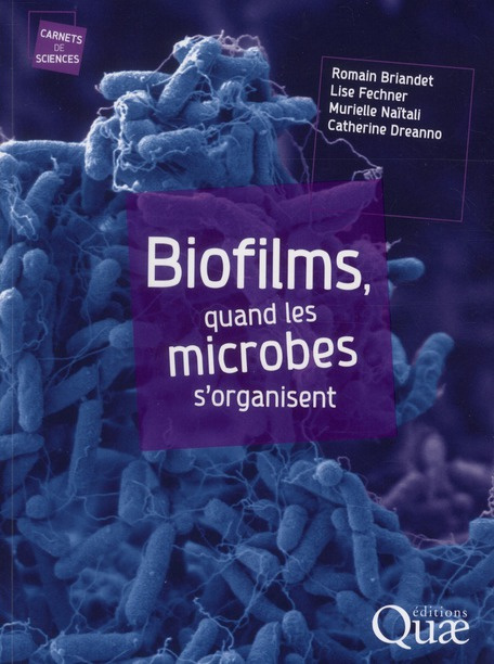 Biofilms, quand les microbes s'organisent