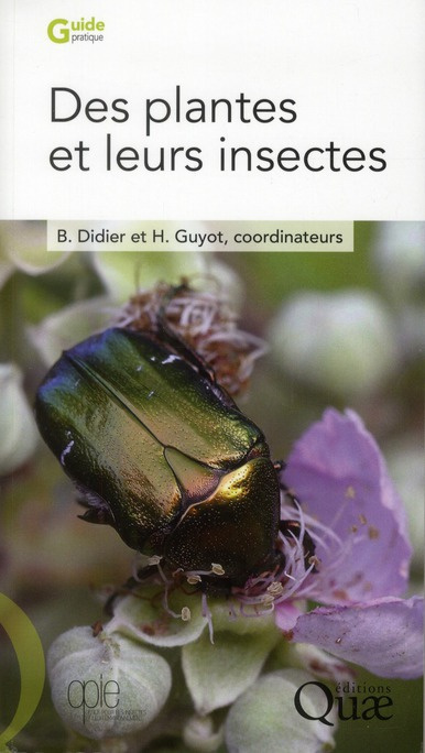 DES PLANTES ET LEURS INSECTES