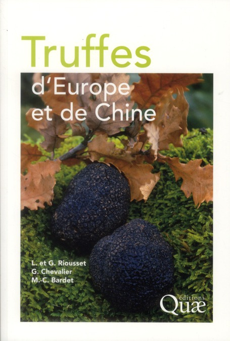TRUFFES D'EUROPE ET DE CHINE