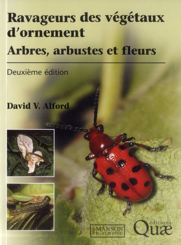Ravageurs des végétaux d'ornement / Arbres, arbustes, fleurs
