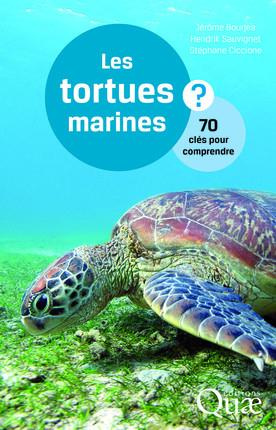 Les tortues marines? / 70 clés pour comprendre