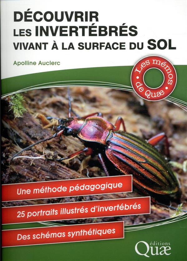 DECOUVRIR LES INVERTEBRES VIVANT A LA SURFACE DU SOL - UNE METHODE PDAGOGIQUE. 25 PORTRAITS ILLUSTRE