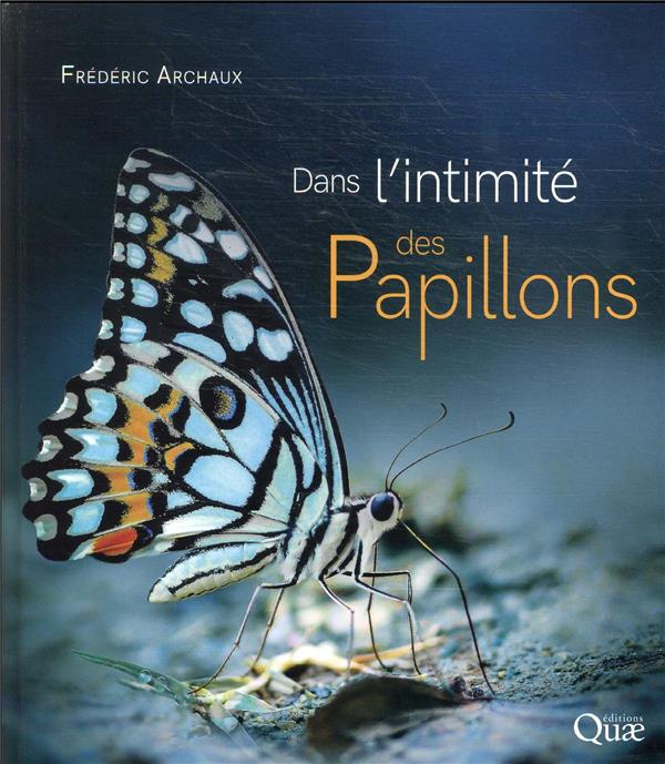 Dans l'intimité des papillons