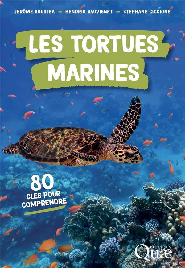 Les tortues marines - 80 clés pour comprendre