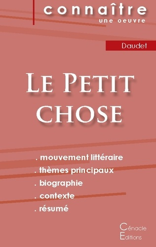 Le petit chose. Fiche de lecture
