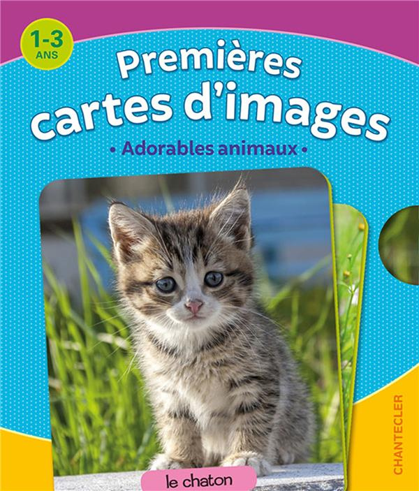 Premières cartes d'images. Adorables animaux