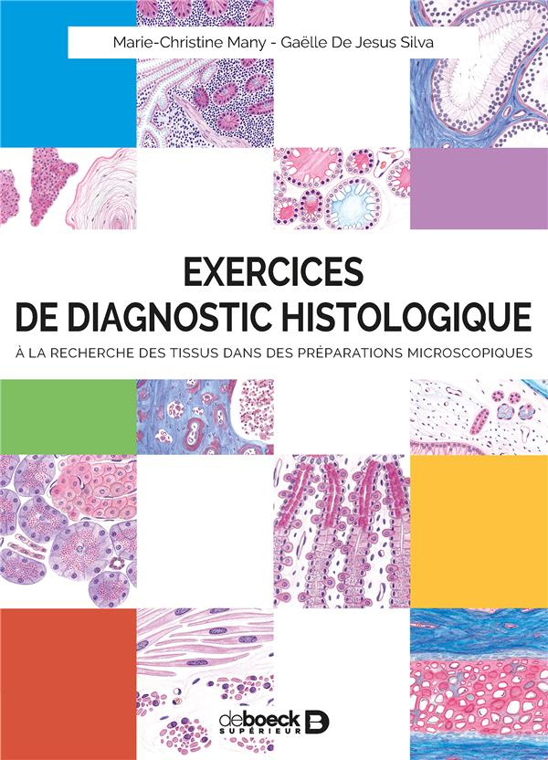 Exercices de diagnostic histologique. À la recherche des tissus dans des préparations microscopiques