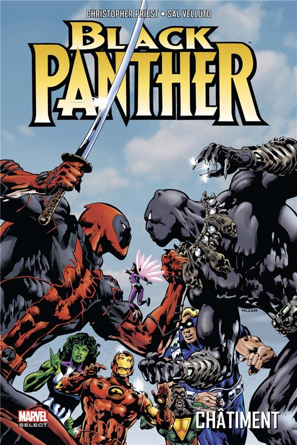 Black Panther Tome 2 : Châtiment