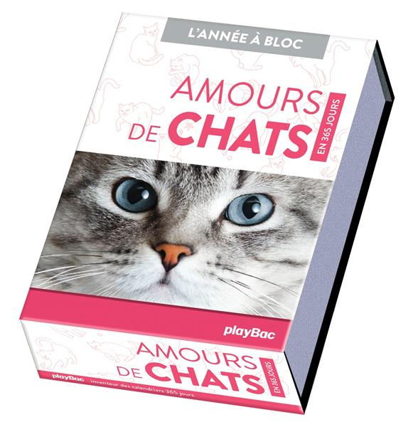Amours de chats en 365 jours