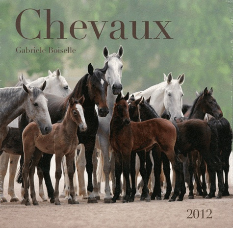Chevaux 2012