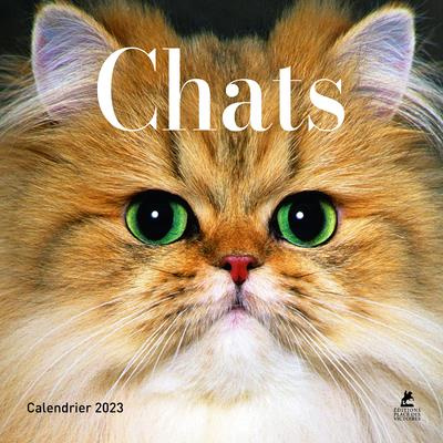 Calendrier Chats. Edition 2023