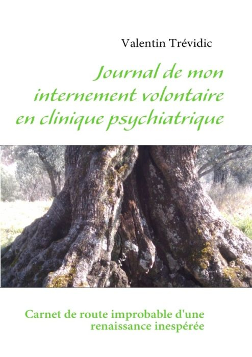 Journal de mon internement volontaire en clinique psychiatrique. Carnet de route improbable d'une re