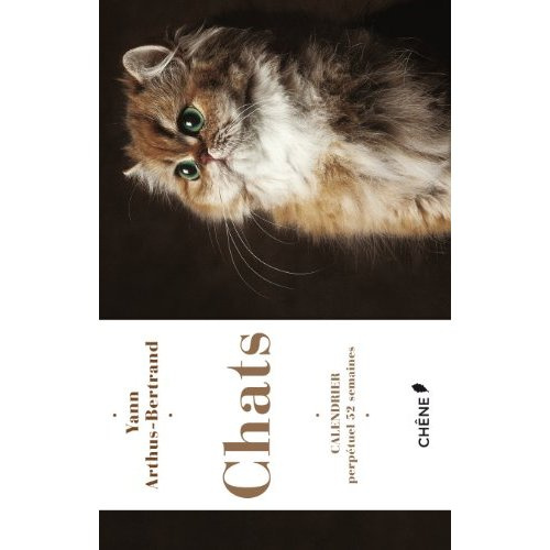 Chats. Calendrier perpétuel 52 semaines