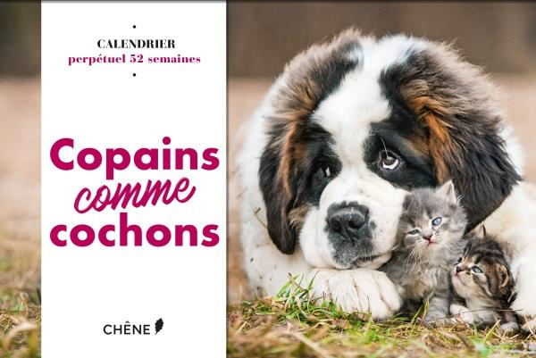Copains comme cochons. Calendrier perpétuel 52 semaines