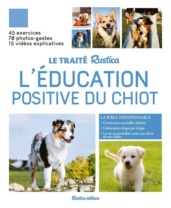 L'éducation positive du chiot