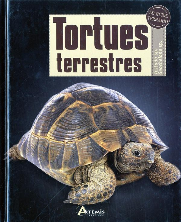 Tortues terrestres