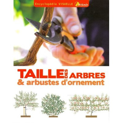 Taille des arbres et des arbustes d'ornement